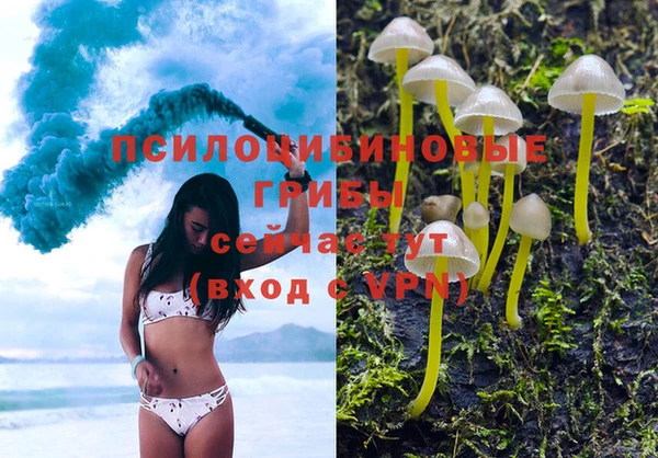 ECSTASY Арсеньев