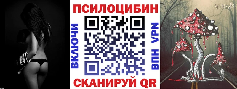 купить  сайты  Суровикино  Галлюциногенные грибы прущие грибы 